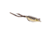 MACH MACH Frog Swimbait, Brown, MHPKF-244
