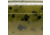 MACH MACH Skooler Swimbait, Green Pumpkin, 4in, MHTW-46