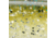 MACH MACH Skooler Swimbait, Royal Gill, 4in, MHTW-471