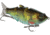 MACH Baits MachShad 90 Swimbait, Slow Sinking Jointed Swimbait, Ghost Perch, 7/16oz, HCMBMS-920, HCMBMS-920