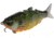 MACH Baits MachShad 90 Swimbait, Slow Sinking Jointed Swimbait, Killer Gill, 7/16oz, HCMBMS-700, HCMBMS-700