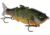 MACH Baits MachShad 90 Swimbait, Slow Sinking Jointed Swimbait, Killer Gill, 7/16oz, HCMBMS-700, HCMBMS-700