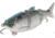 MACH Baits MachShad 90 Swimbait, Slow Sinking Jointed Swimbait, Sexy Shad 2.0, 7/16oz, HCMBMS-591, HCMBMS-591