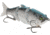 MACH Baits MachShad 90 Swimbait, Slow Sinking Jointed Swimbait, Sexy Shad 2.0, 7/16oz, HCMBMS-591, HCMBMS-591