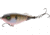 MACH Baits Patroller 90 Fishing Lure, Topwater Propeller Bait, Ghost Gill, 1/2oz, HCMBPT90-922, HCMBPT90-922