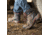 Maelstrom Zion Mens 6in Composite Toe Boot, Non-Insulated, Wide, 9, Earth Brown, 5101-9W