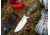 Magnum Collection 2021 Fixed Blade Knife, 5.28, D2, Micarta Grey Handle, 02MAG2021