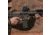 Magpul Industries PMAG GEN M3 AR-15/M16/M4 .223 Rem/5.56x45mm NATO 30 Round Rifle Magazine