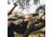 Magpul Industries Hunter X-22 Takedown Forend - Ruger 10/22 Takedown, Black, MAG1065-BLK