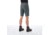 Mammut Hiking Shorts -Mens, Storm/Zion, US 36, 1023-00120-00251-52-10