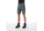 Mammut Hiking Shorts -Mens, Storm/Zion, US 36, 1023-00120-00251-52-10