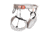 Mammut Zephir Altitude Harness, Cliff/White, Large, 2020-01124-00497-113