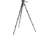 Manfrotto Bogen Manfrotto 519 Pro Video Head+536 CF Tripod+MBAG100PN 519-536K