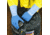 Mapa/Spontex Pioneer Corp Glove Blue Grip Med PK6PR 301427