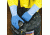 Mapa/Spontex Pioneer Corp Glove LL-301 PK6PR Sml 301426