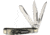 Marbles Three Blade Serpentine Folder Folding Knife, Mirror finish stainless clip, long clip, and spey , Black stag bone handle, KB313 / MR481