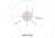 March Scopes Normal Turret 2.5-25x42mm, 30mm Tube, Second Focal Plane, MTR-RTM Reticle, Black, D25V42IMTR-RTM Reticle