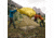 Marmot Bolt UL Tent - 2 Person, Dark Citron/Citronelle, One Size, 39000-9819-ONE