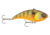 Matzuo Ikari Crankbaits 1/2oz, Pumpkin Seed Sunfish, MTZ-12IK-PSS