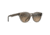 Maui Jim Dragonfly Sunglasses,Translucent Taupe,HCL Bronze Lens, HS788-24A