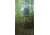 Maverick Blinds 5-Shooter GX Hunting Blinds - Clear, Green, 238