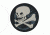 Maxpedition Skull Patch, SWAT, 2.5in x 2.5in SKULS
