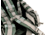 Maxpedition Falcon III Backpack, Foliage, PT1430F