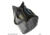 Maxpedition Trifecta 3in1 Tote Set, Wolf Gray/Green/Dark Blue/Black, 2131M
