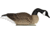 Mayhem Decoys by Heavy Hauler Outdoor Gear Canada goose floater, Fullbody EVA plastic decoy, Painted head, Canada goose, 0149CP