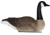 Mayhem Decoys by Heavy Hauler Outdoor Gear Canada goose floater, Fullbody EVA plastic decoy, Painted head, Canada goose, 0149CP