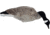 Mayhem Decoys by Heavy Hauler Outdoor Gear Canada goose, Fullbody collapsible decoy, Painted head, Canada goose, 0147CP