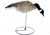 Mayhem Decoys by Heavy Hauler Outdoor Gear Canada goose, Fullbody collapsible decoy, Painted head, Canada goose, 0147CP