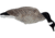 Mayhem Decoys by Heavy Hauler Outdoor Gear Canada Lesser Decoy, 6 Pack, Flocked Head, 0147CFL