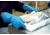 MCR Safety 5190B Long Canners Latex Gloves, 18 mil Thickness, 12in Length, Unlined Industry Standard Grade, Blue, Large, 5190B