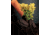 MCR Safety 7100 Brown Jersey Work Gloves, Clute Pattern with Knit Wrist, Cotton Polyester Blend, Brown, Large, 7100