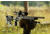 MDT ACC Chassis System, CZ 455 - 22LR / 17HMR, Right Position, Cerakote Tactical Grey, 104305-GRY