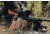 MDT ACC Chassis System, CZ 455 - 22LR / 17HMR, Right Position, Cerakote Tactical Grey, 104305-GRY