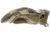 Mechanix Wear M-Pact Tactical Gloves - Mens, Multicam, Medium, MPT-78-009