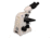 Meiji Techno Binocular Gout Testing Microscope, BEIGE, LARGE MT9520