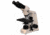 Meiji Techno Binocular Gout Testing Microscope, BEIGE, LARGE MT9520