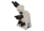 Meiji Techno Halogen Binocular Brightfield,Phase Contrast Biological Microscope, BEIGE, LARGE MT5210EH
