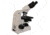 Meiji Techno Halogen Binocular Brightfield,Phase Contrast Biological Microscop, BEIGE, LARGE MT5210H