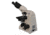 Meiji Techno Halogen Binocular Brightfield,Phase Contrast Biological Microscop, BEIGE, LARGE MT5210H