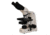Meiji Techno Halogen Binocular Brightfield,Phase Contrast Biological Microscop, BEIGE, LARGE MT5210H