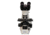 Meiji Techno Halogen Binocular Brightfield,Phase Contrast Biological Microscop, BEIGE, LARGE MT5210H
