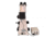 Meiji Techno Halogen Ergo Trino Incident,Transmitted Light BF,DF Metallurgical Microscope, BEIGE, LARGE MT8530EH