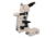 Meiji Techno Halogen Ergo Trino Incident,Transmitted Light BF Microscope, BEIGE, LARGE MT8100EH