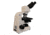 Meiji Techno Halogen Ergonomic Trinocular Brightfield,Phase Contrast Biological Microscope, BEIGE, LARGE MT5310EH