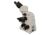 Meiji Techno Halogen Ergonomic Trinocular Brightfield,Phase Contrast Biological Microscope, BEIGE, LARGE MT5310EH