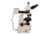 Meiji Techno Halogen Trino Incident,Transmitted Light BF,DF Metallurgical Microscope, BEIGE, LARGE MT8530